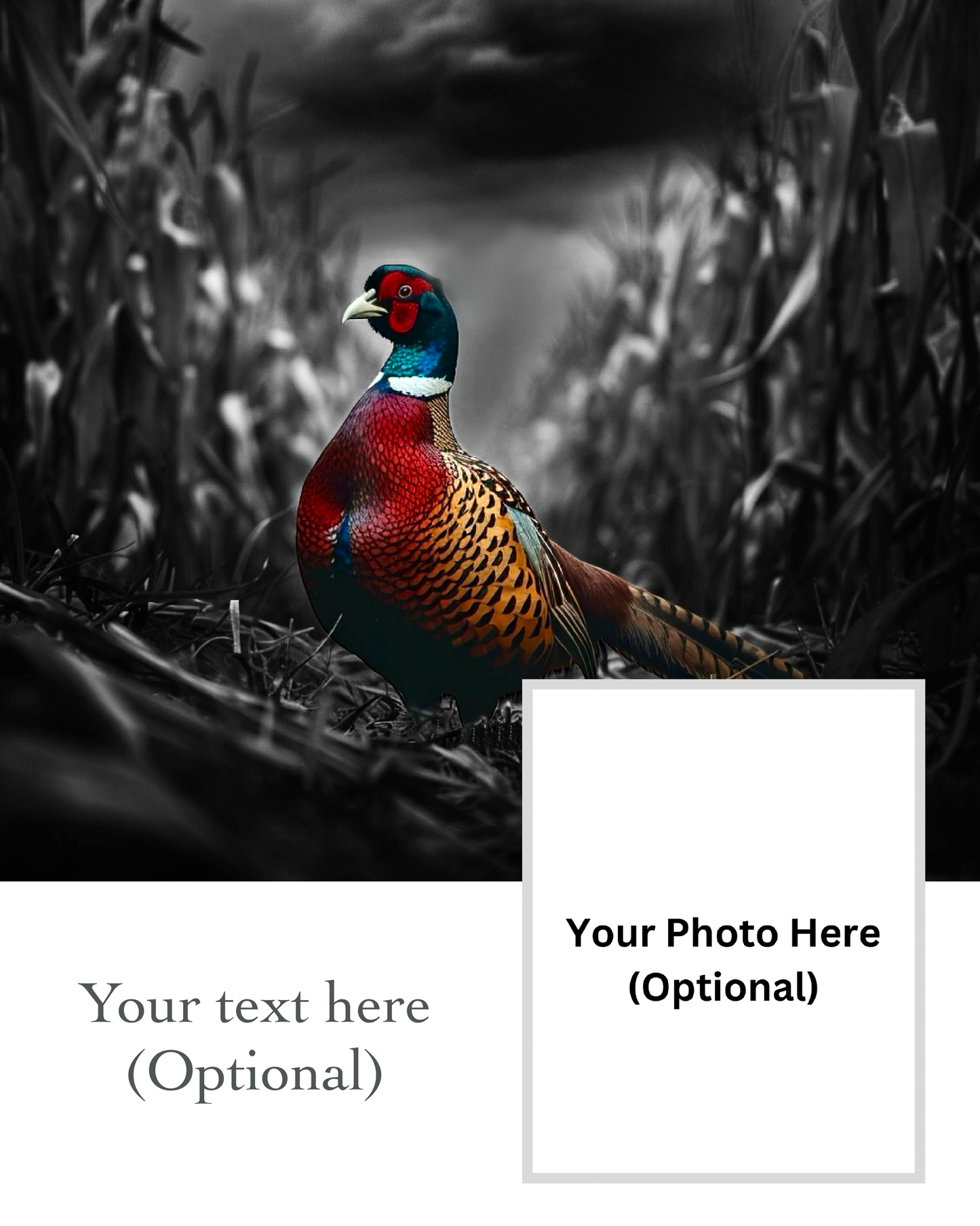 Pheasant