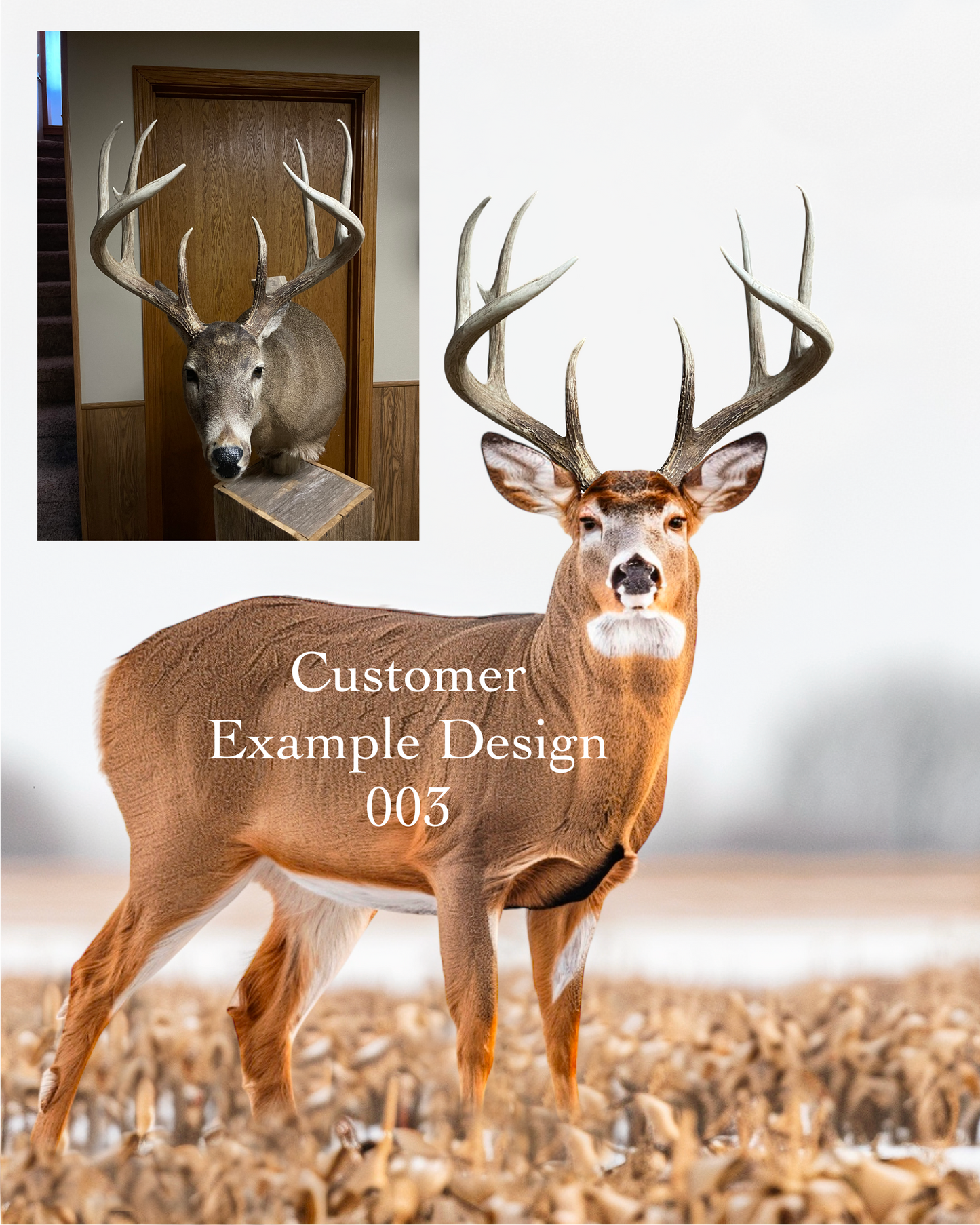 Whitetail Design 003