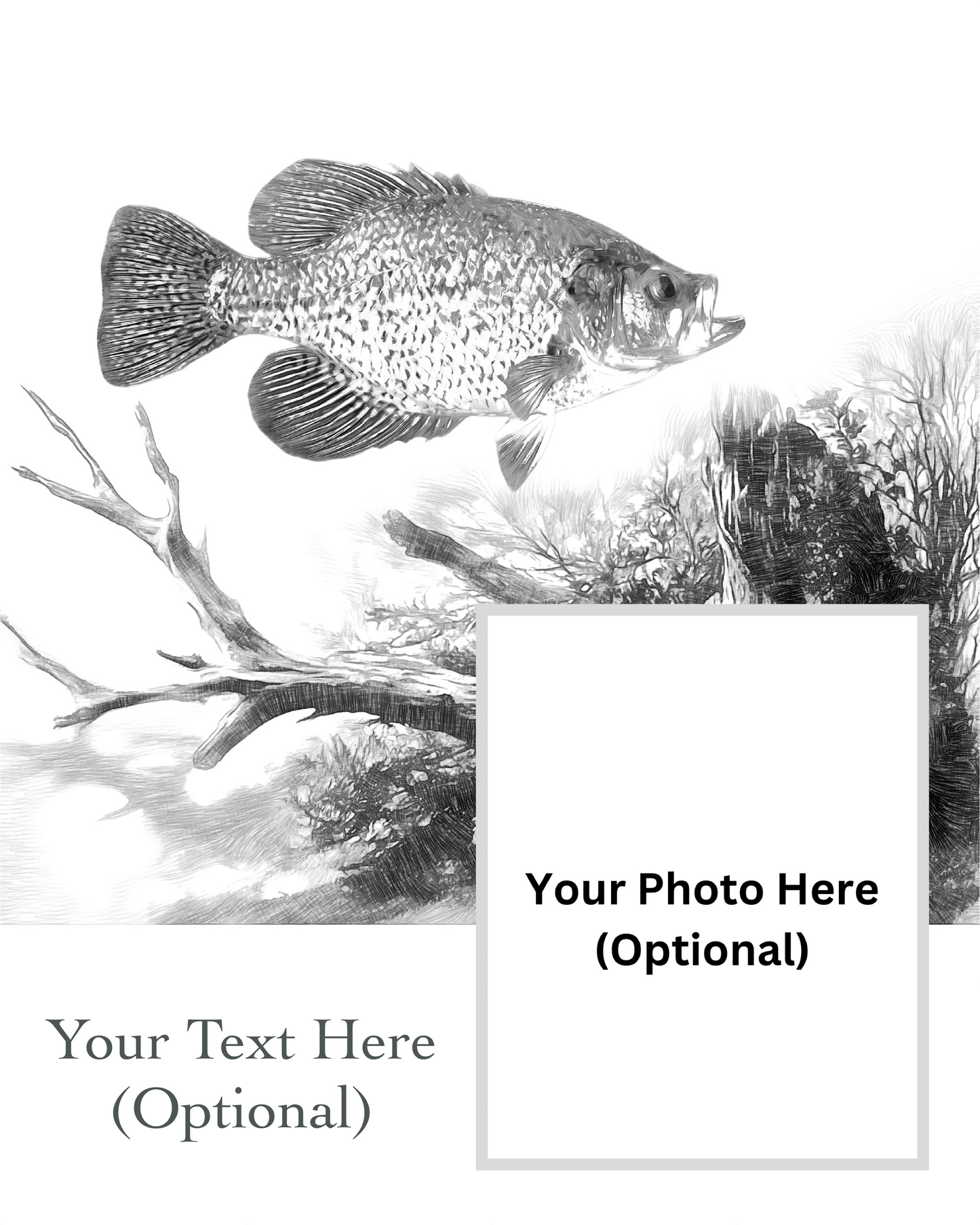 Black Crappie